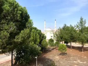 Tek Sosyal Tesisleri