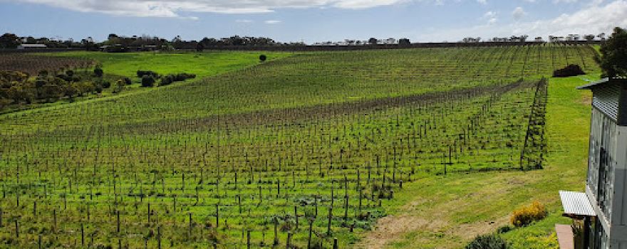 Inkwell Wines - Winery and Cellar Door