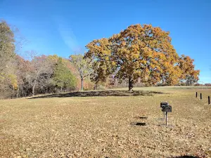 Miller Park at Fellows Lake