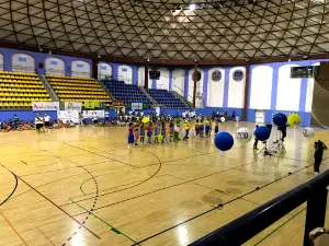 Polideportivo Municipal El Valle