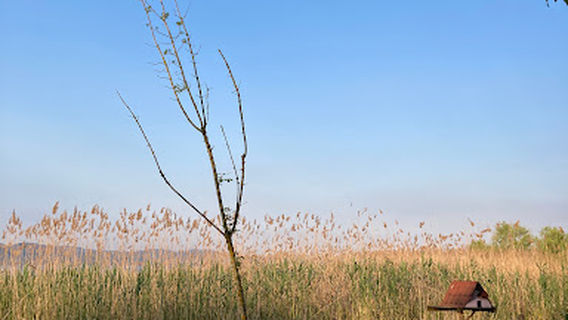 MUHARREM KULÜBE AİLE PİKNİK ALANI
