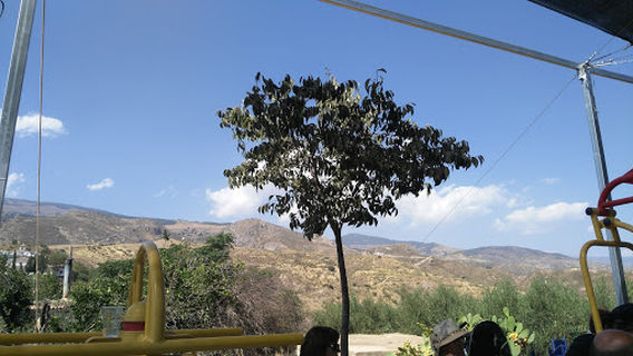 Era de los Llanos