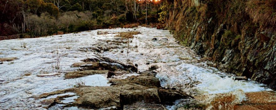 Creswick Regional Park