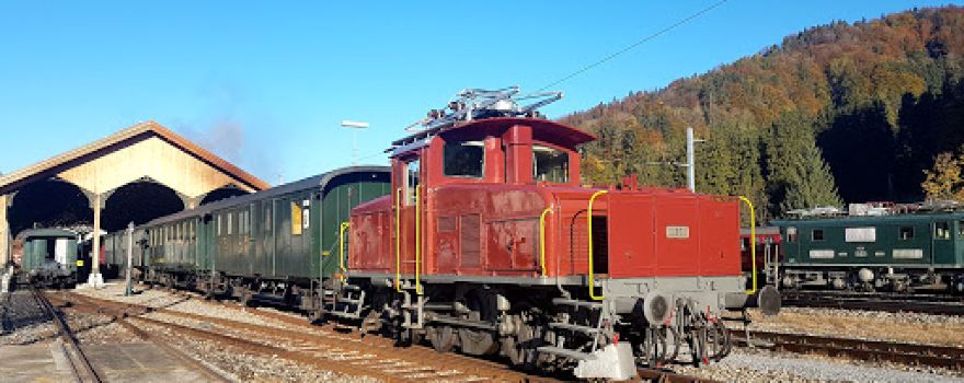 Steam Train Society Zürcher Oberland DVZO