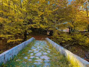 Roman Bridge