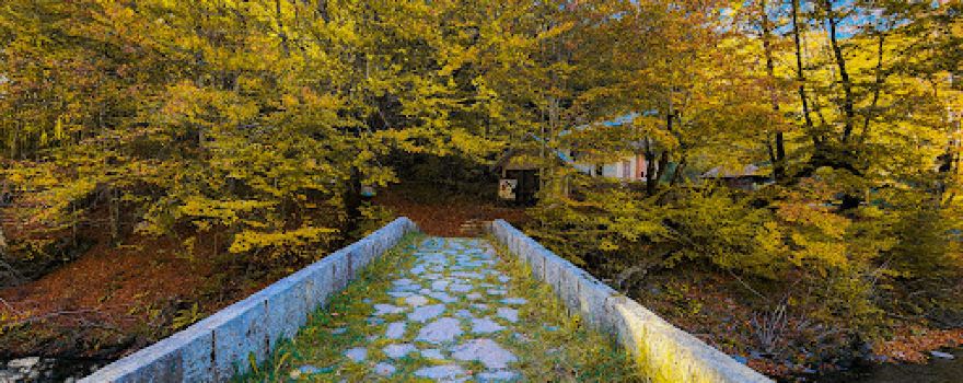 Roman Bridge