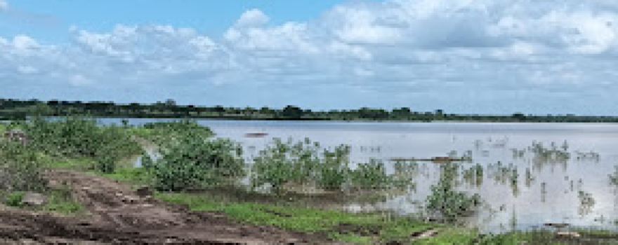 Lake of Shelgaon
