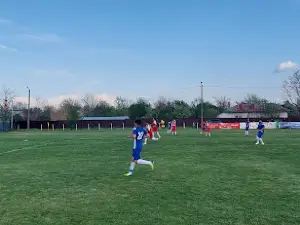 The stadium Barcanesti, Ialomita