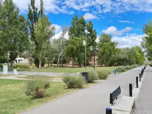 Costanera de Chos Malal