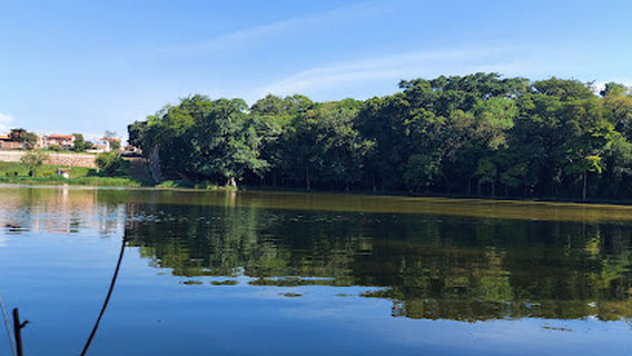 Parque Dona Zica (Bosque de Chavantes)
