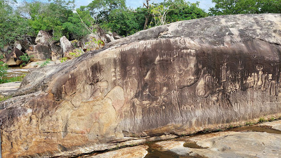 Museu de História Natural de Ingá