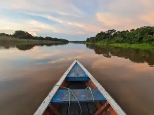 Amazon Jungle Trips
