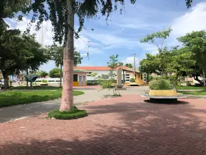 Cel square. Luis Felipe