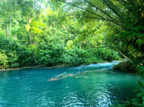 ザッチ・ヒル・リバー・パーク