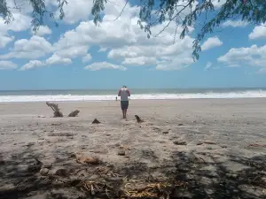 Playa Jiquelite