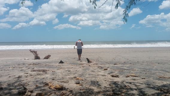 Playa Jiquelite