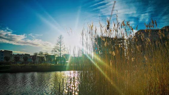 Park Balaton