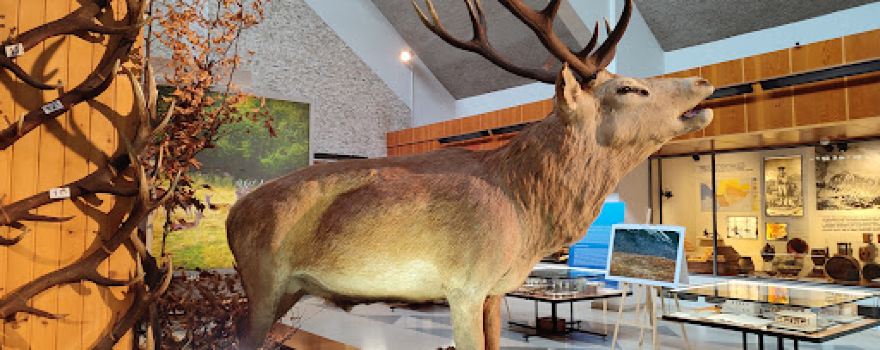 Museum of TANAP