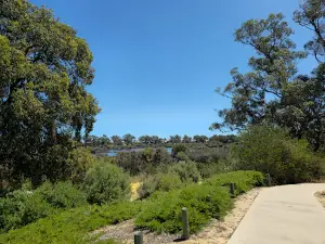 Giants of Mandurah (Little Lui)