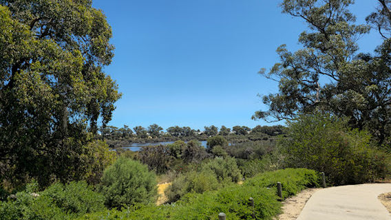 Giants of Mandurah (Little Lui)