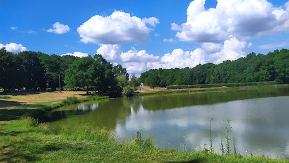 Étang des Tuileries