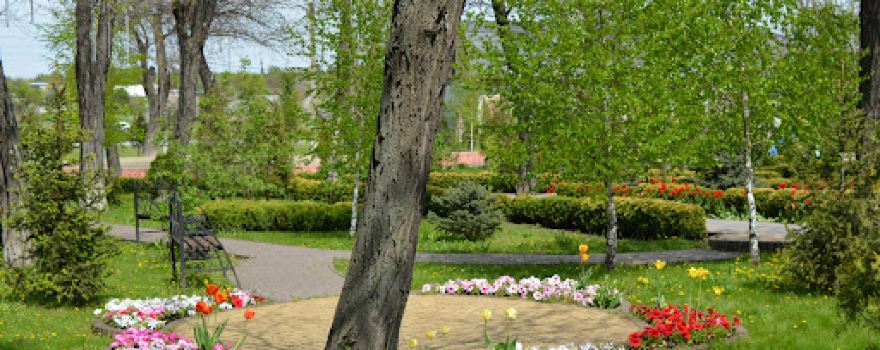 Petrivsʹkyy Park Vidpochynku