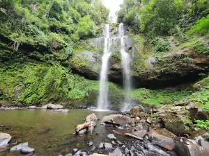 Cascade Whale