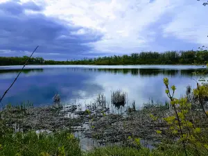 William Lake Provincial Park
