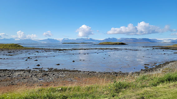 Höfn
