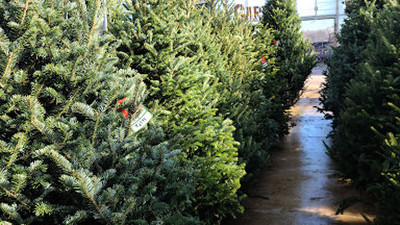 Turtle Creek Nursery & Landscaping