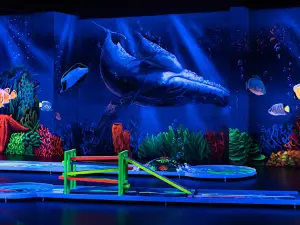 Blacklight Arena 3D Schwarzlicht Minigolf