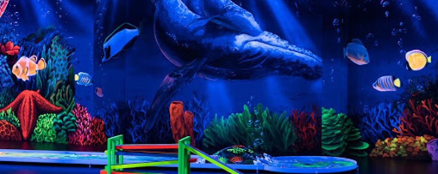 Blacklight Arena 3D Schwarzlicht Minigolf