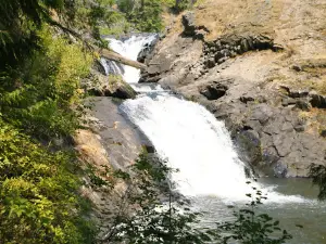 Elk Creek Falls Trailhead and Picnic Area