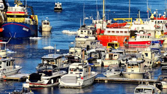 Harbor view point