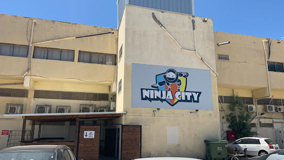 Ninja City