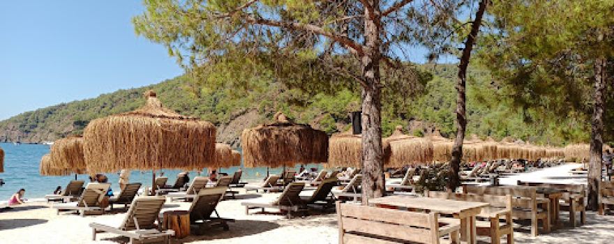 Günlük koyu Ücretsiz kamp alanı