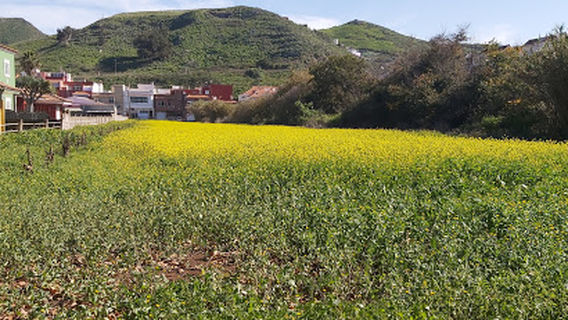 Camino de Las Peras Park