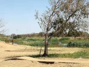 Flora Park Dam