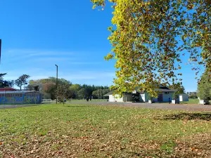Bulls Domain