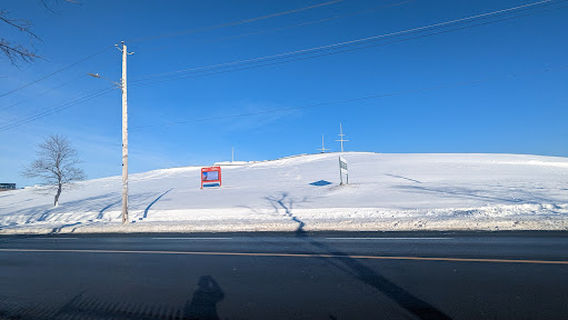 Citadel Hill Off-Leash Dog Park