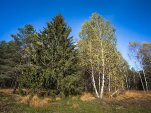Gauja river educational trail