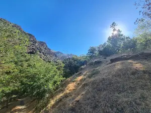 La Roza