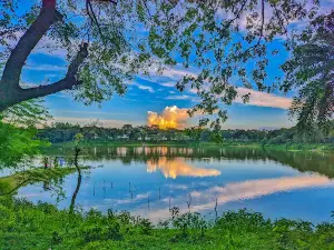 Achranga Dighi