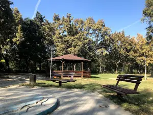 Parcul Mare