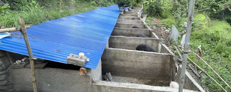 Sunuwar Krishi tatha pasupanchhi farm