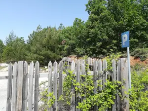 Balkan Botanic Garden of Kroussia