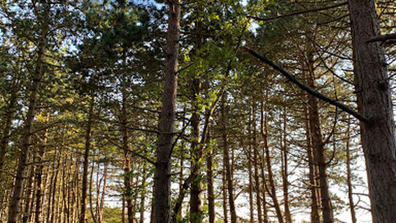 Strand Ostre Somarken