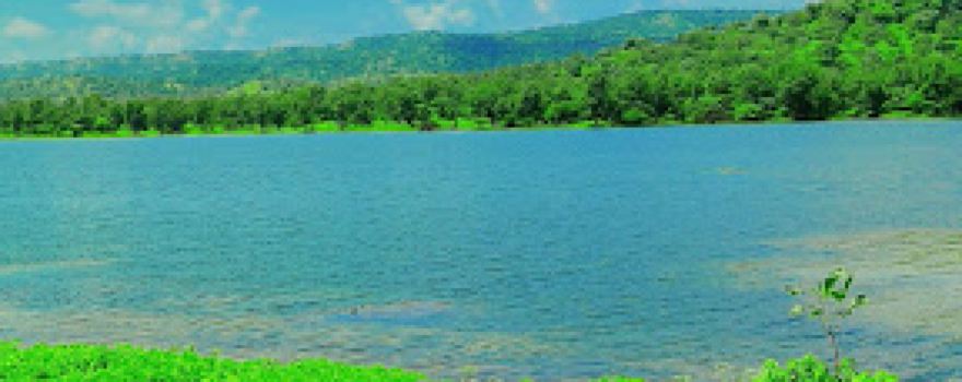 Bhati Dam, Charthane