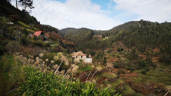 Levada dos Tornos