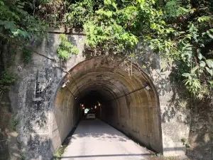 Terowong Bukit Tebuk